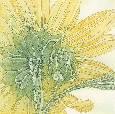 Giant Sunflower - Handmade Greetings Card