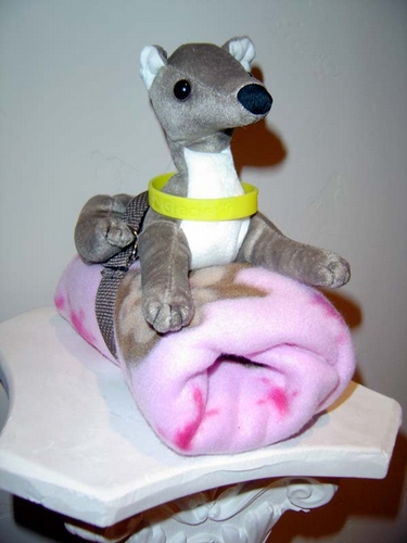 Gracie Baby Play Kit