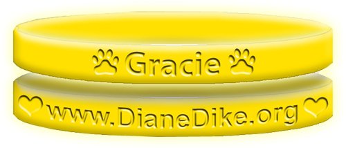 1 Glow Band