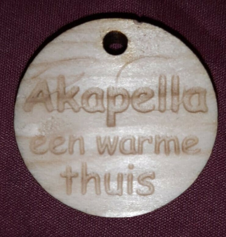 Laser graveren / snijden tot 1000 x 600 mm