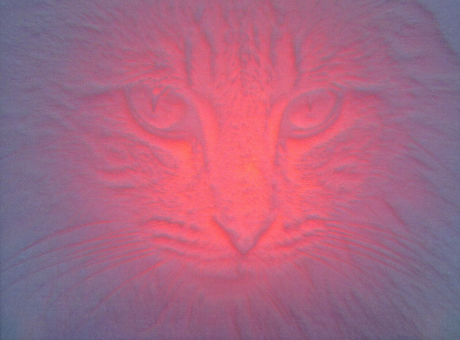 RGB Led lithofaan (upload uw foto ) met remote control en AAA Batterijen inbegrepen