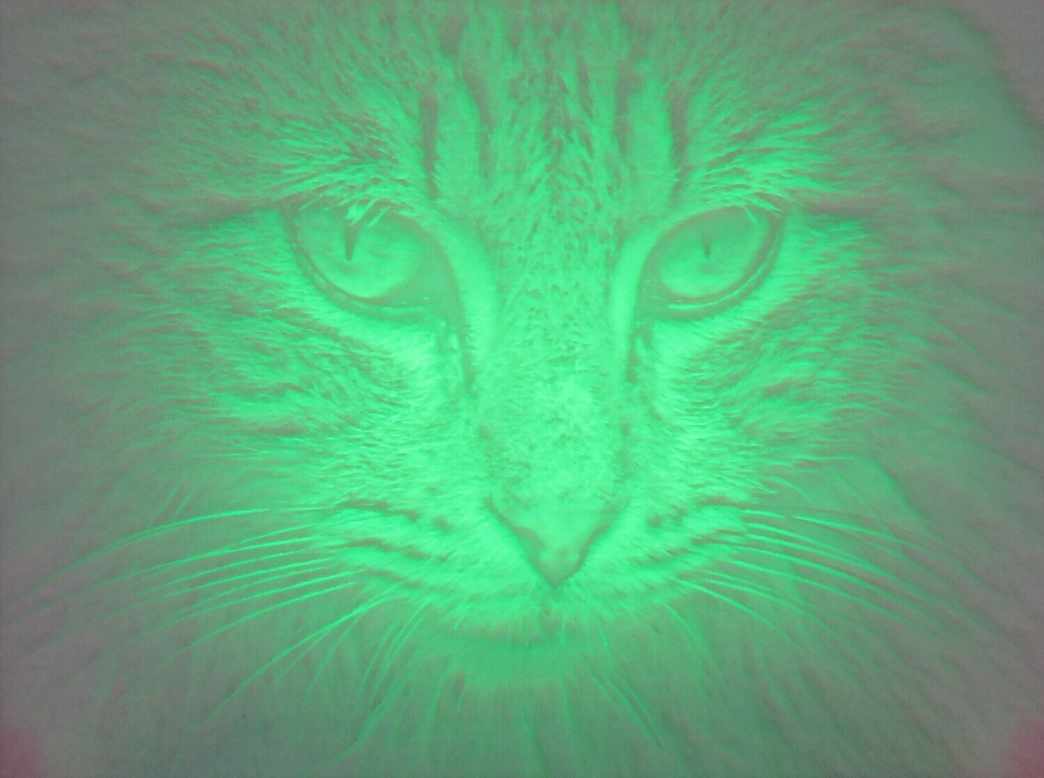 RGB Led lithofaan (upload uw foto ) met remote control en AAA Batterijen inbegrepen