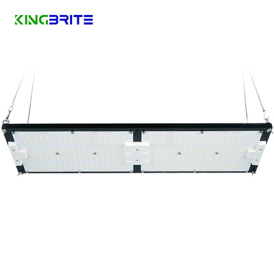 Kingbrite Quantum Board LED/UV Grow Light - 240W, Lm301H, 3500K,