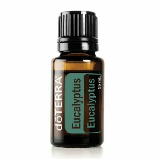 Eucalyptus 15 ml