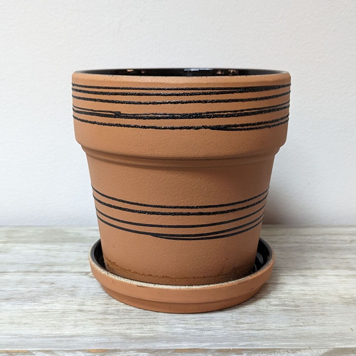 6" Terracotta Black Stripe Pot