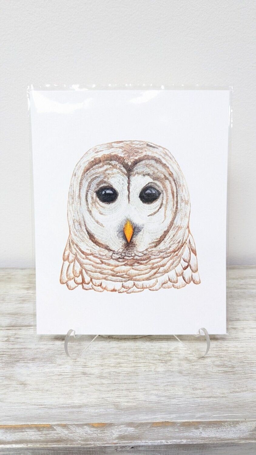 Owl Print (8x10)