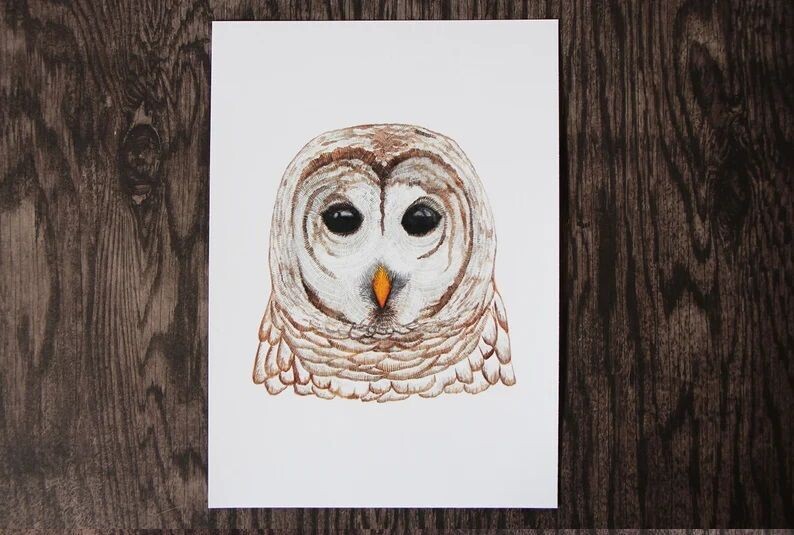 Owl Watercolour Art Print (5x7)