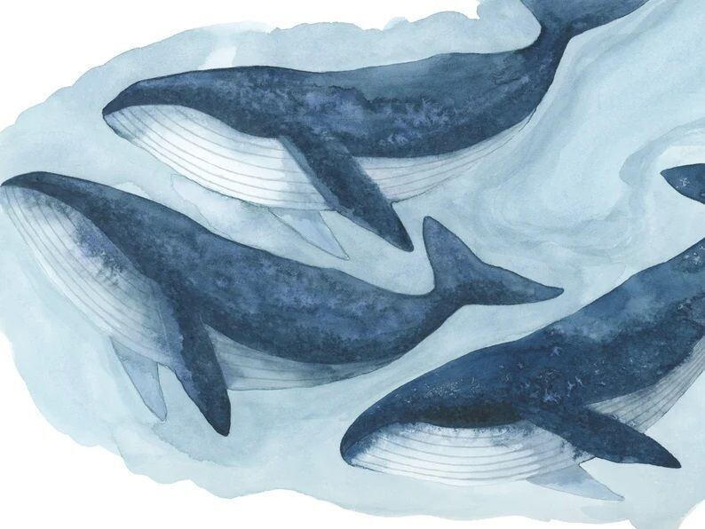 Humpback Whale Gathering Watercolour Art Print (5x7)