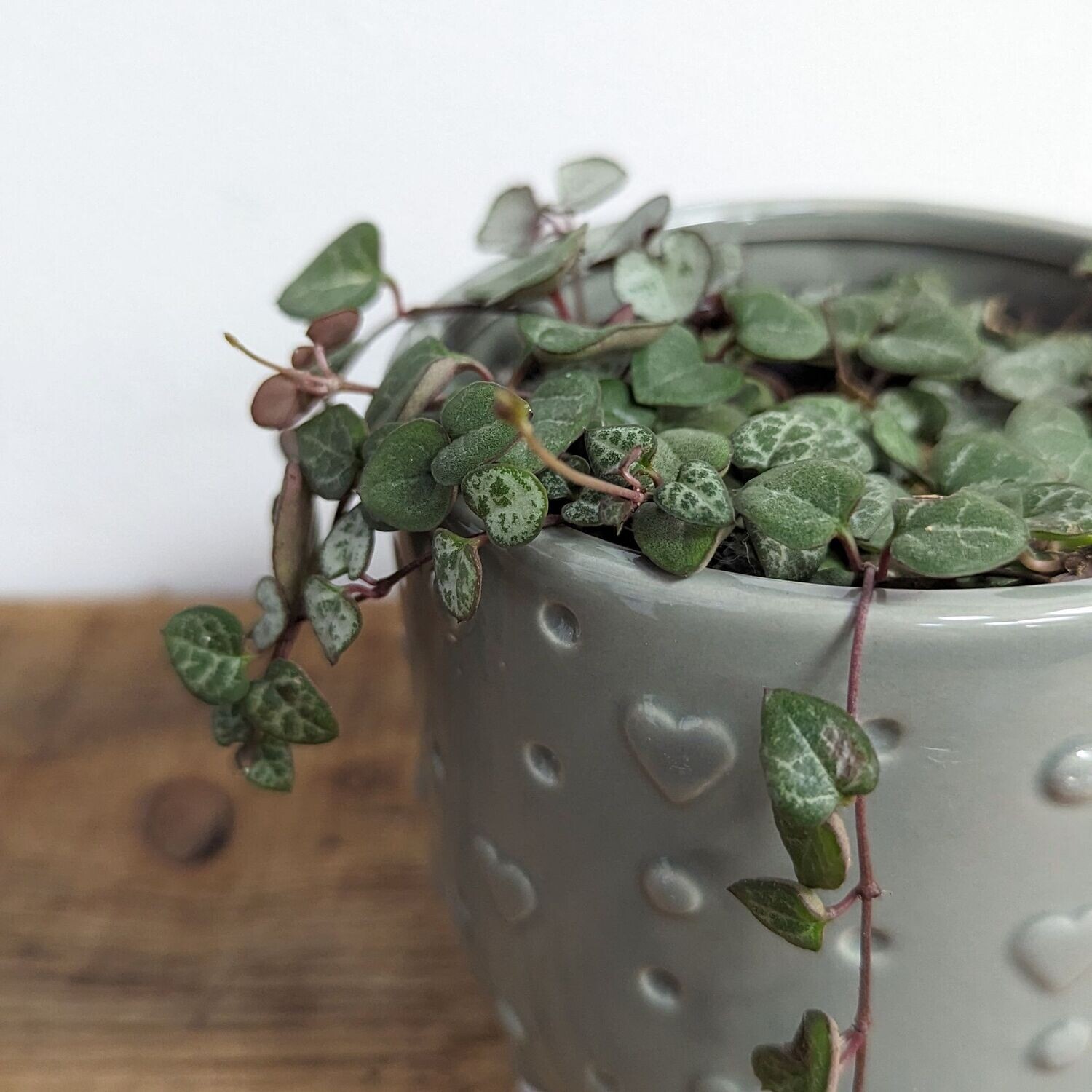 4" String Of Hearts In Green Heart Footed Pot