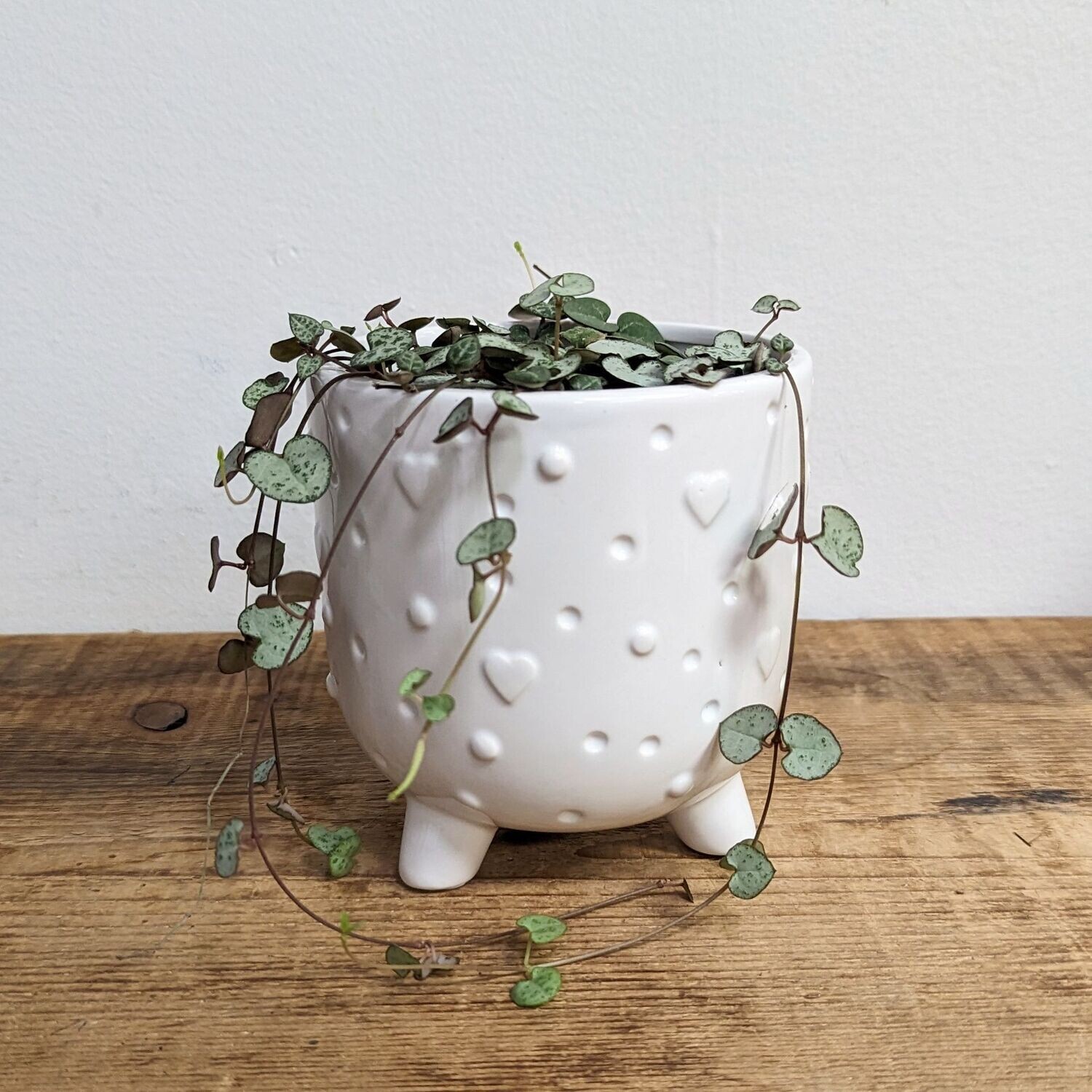 4" String Of Hearts In White Heart Footed Pot​