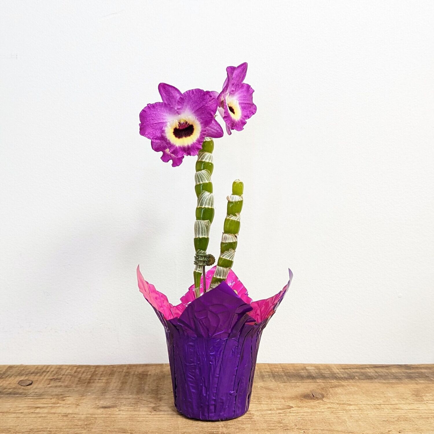 4" Purple Dendrobium Orchid
