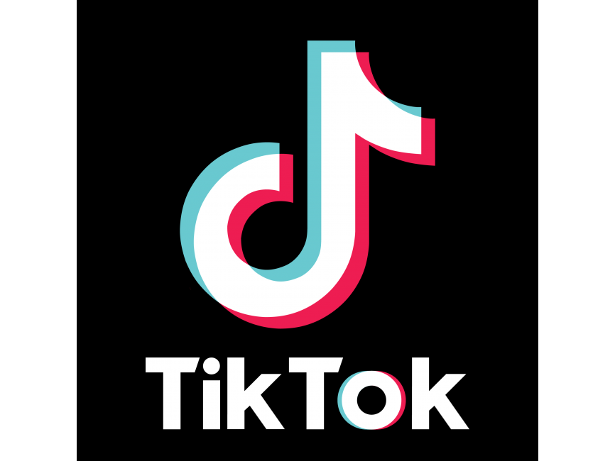 100 TikTok Followers