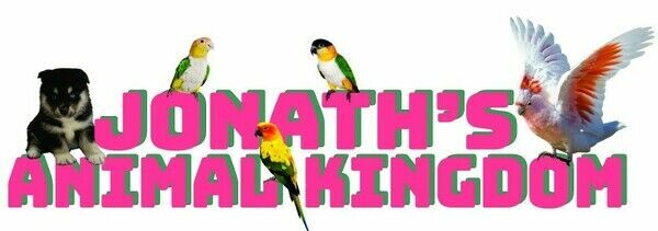 Jonath's Animal Kingdom