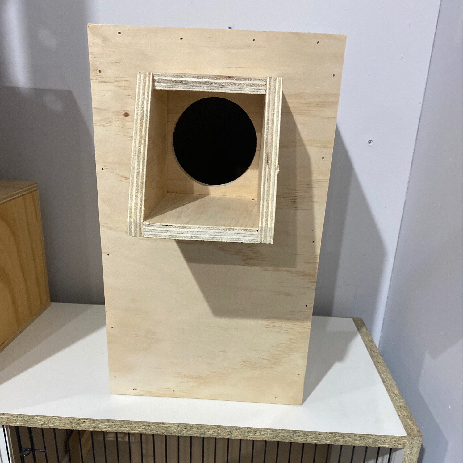 Nest Box Lorikeet