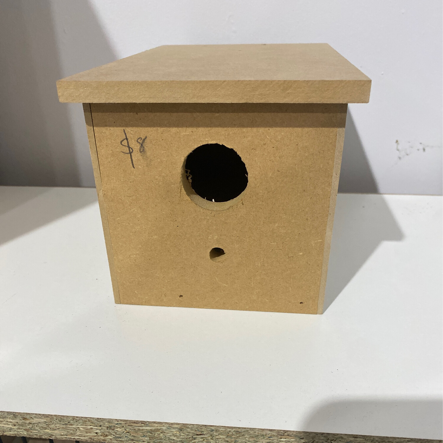 Nest Box Finch