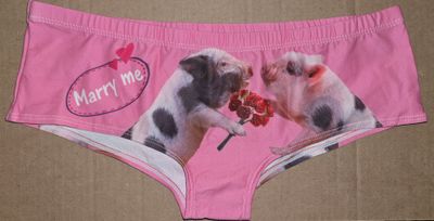 Women&#39;s Underwear Size Large