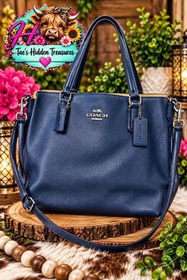 Coach Christie Carryall