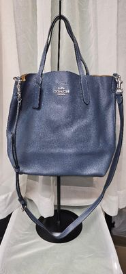 Coach Christie Carryall