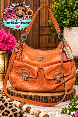 Coach Poppy swing messenger hobo bag