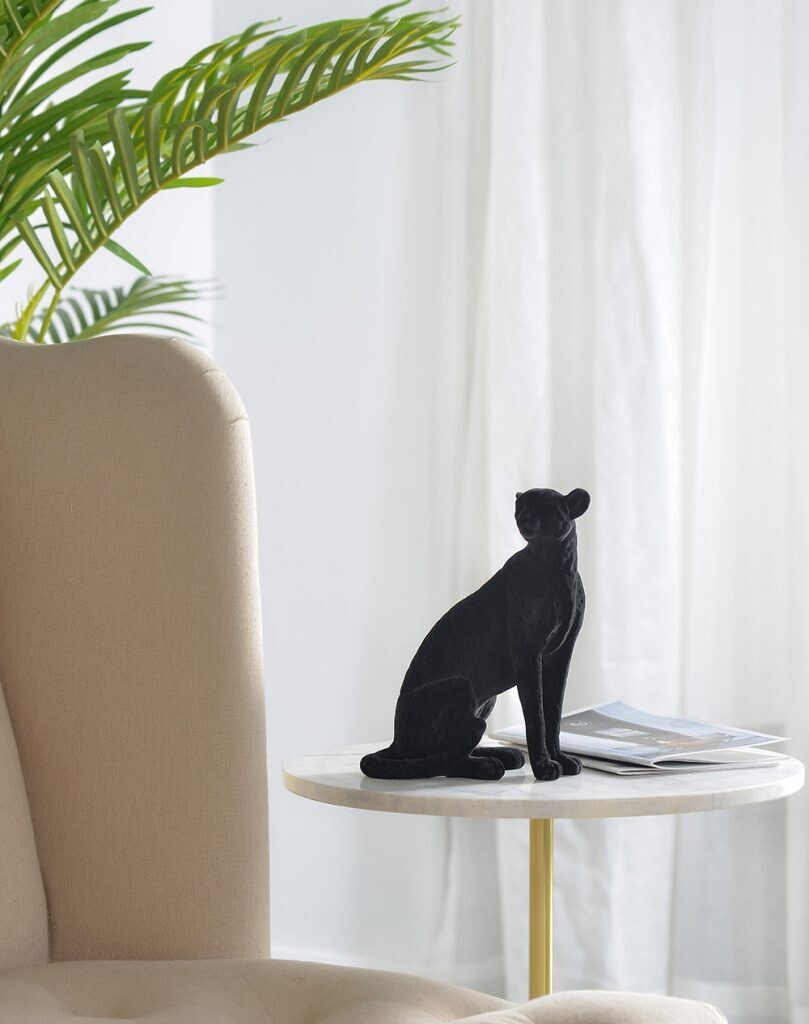 E-commerce Product Image