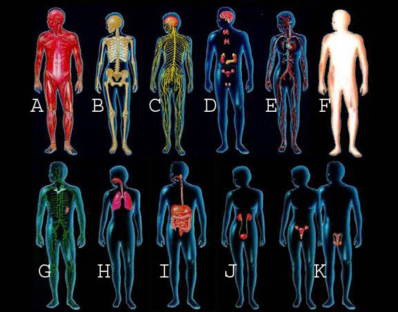 Mantra/Affirmation for Healing Whole Body Systems Memory Stick
