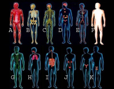 Mantra/Affirmation for Healing Whole Body Systems Memory Stick