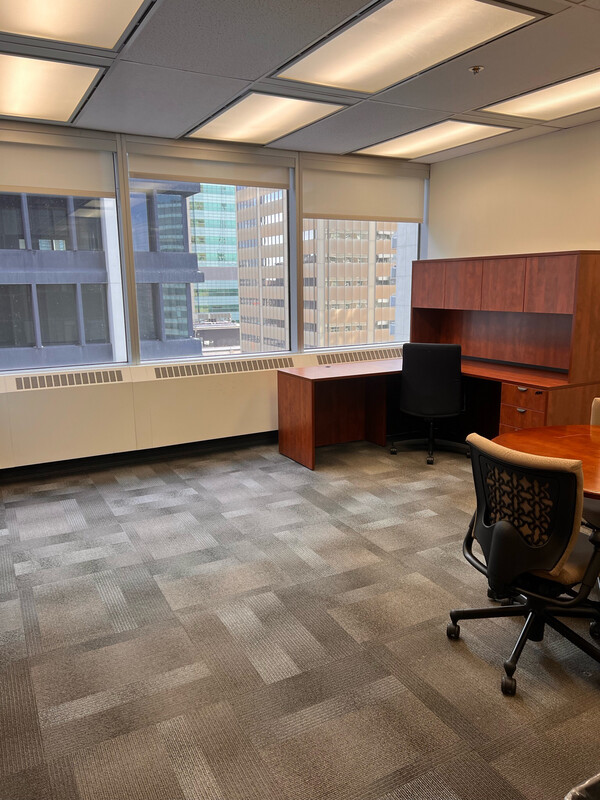 Private Office #1717 - 210 sqft -  Window View