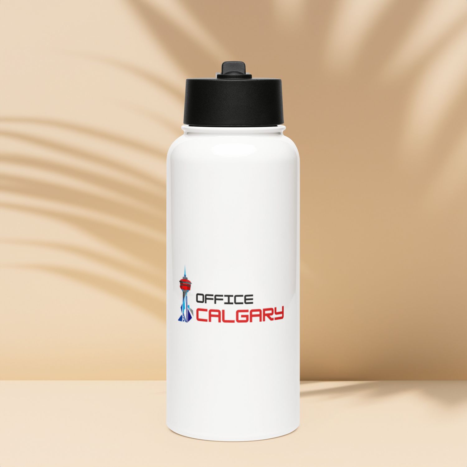 Stainless steel water bottle with a straw lid