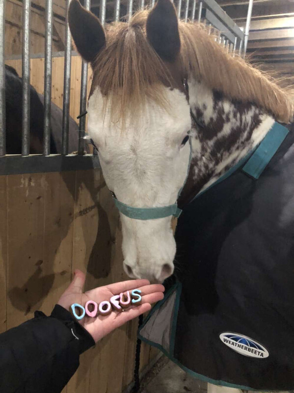 Letter Bites