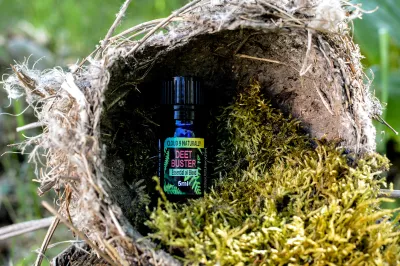 Essential Oil DEET: Buster Blend 15ml