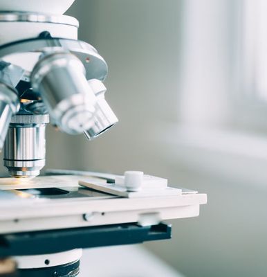 FoodallerG: Food Sensitivity Testing