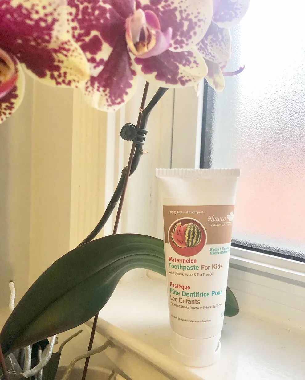 Watermelon Fluoride Free Kids Toothpaste 90ml
