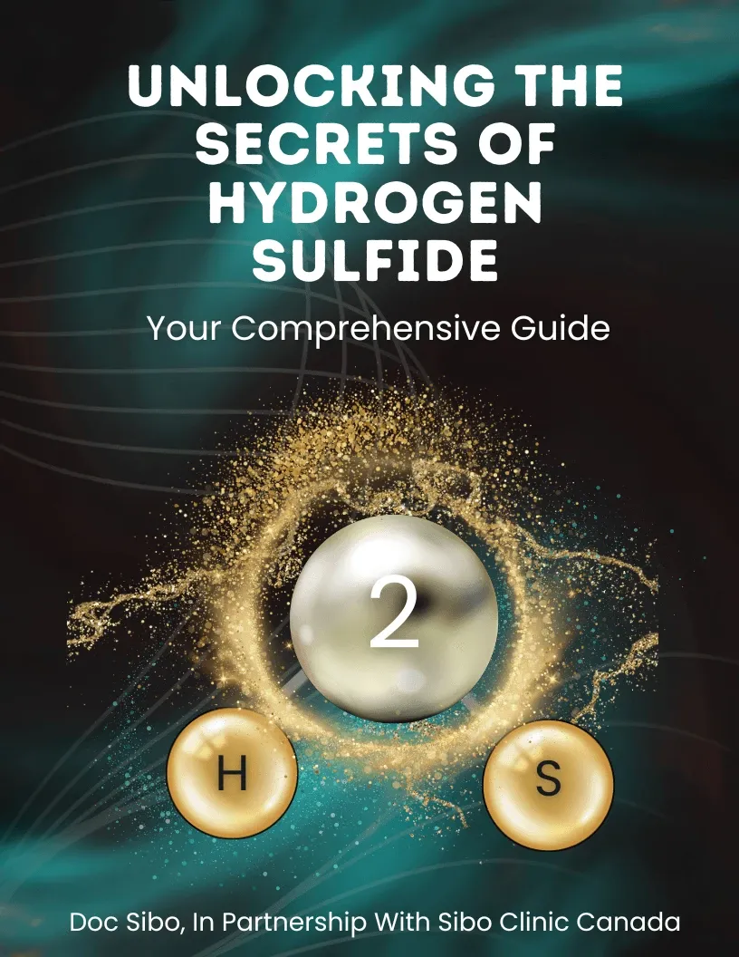 The Mysteries of Hydrogen Sulfide (H2S)