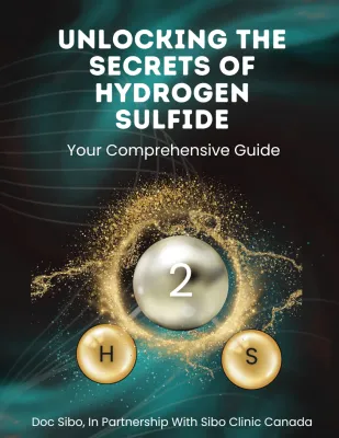 The Mysteries of Hydrogen Sulfide (H2S)