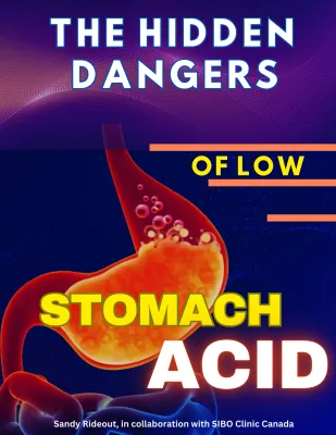 The Link Between Stomach Acid and Digestion