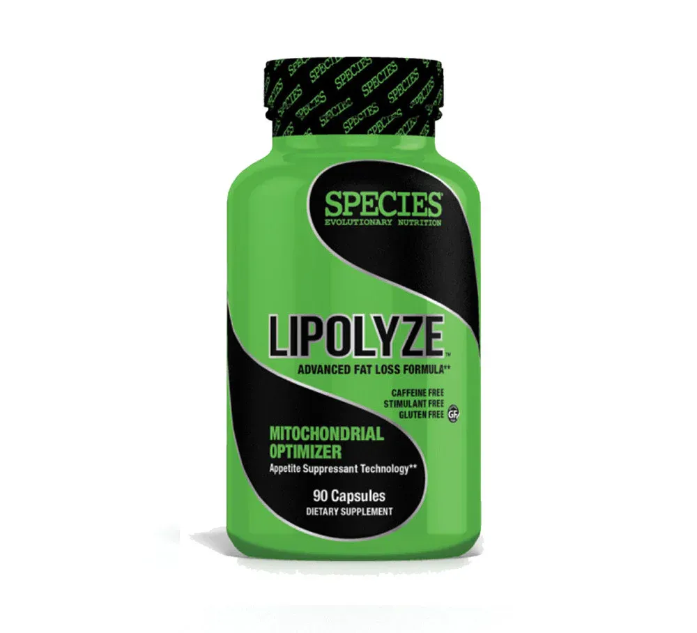 Lipolyze Lipolyze