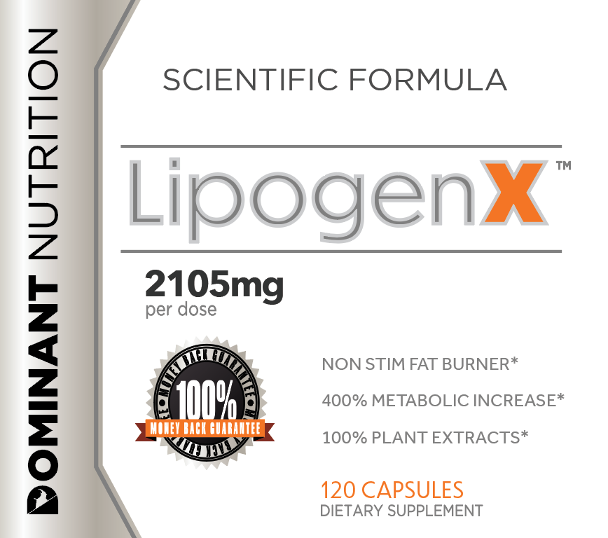 LipogenX