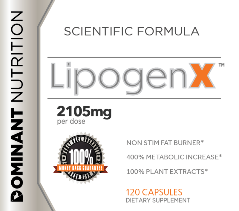LipogenX