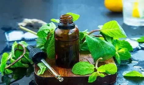 Spearmint