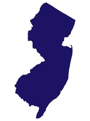 NEW JERSEY, UTAH, ARIZONA- 3 LICENSES TO CARRY -1 CLASS BUNDLE