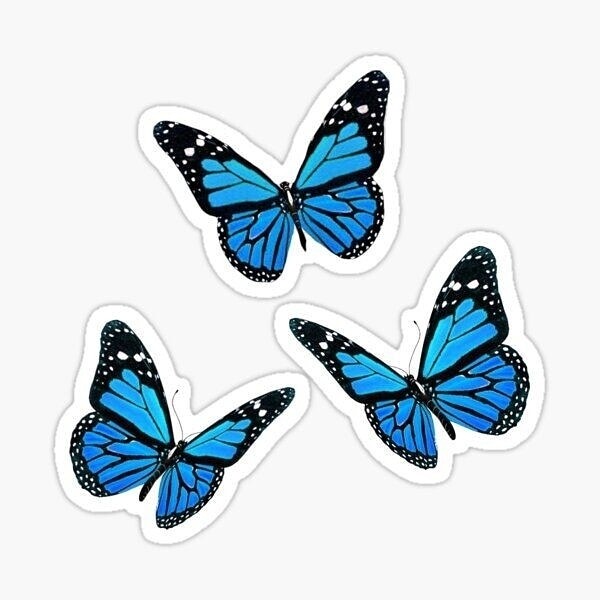 Butterfly sticker