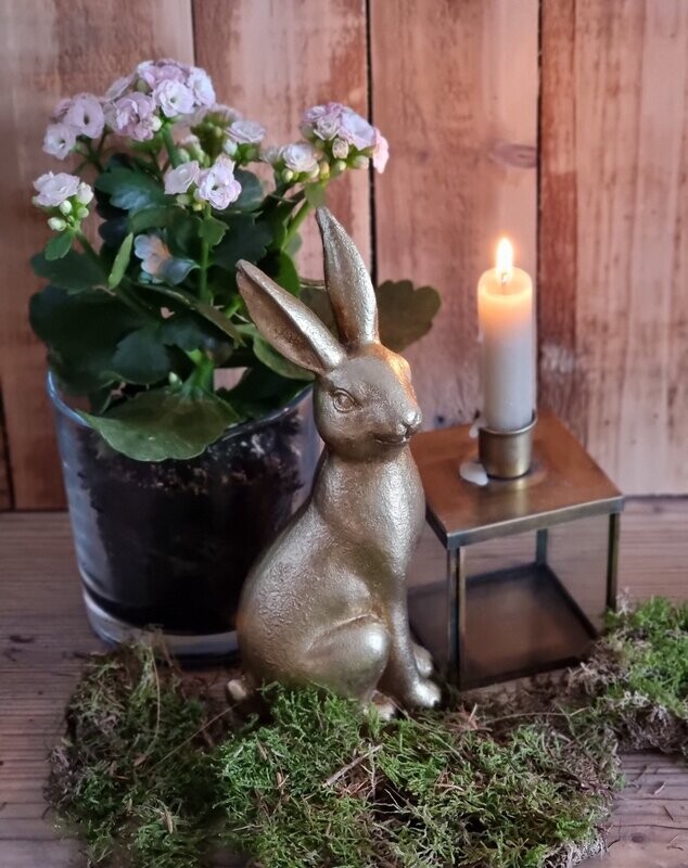 Poly Hase sitzend -nach rechts schauend