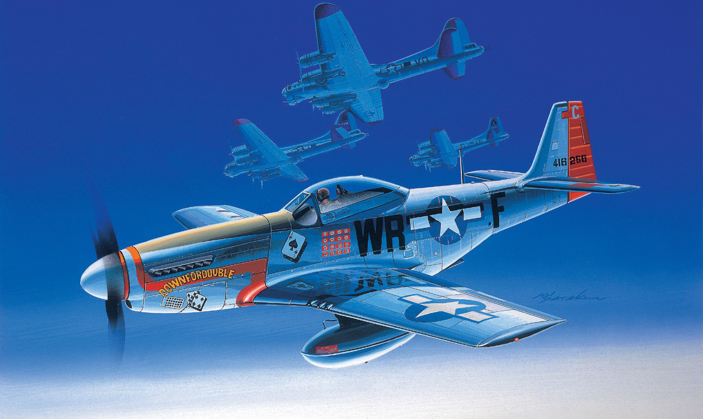 Academy 12485 1/72 P-51 D MUSTANG