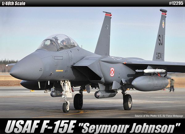 Academy 12295 1/48 USAF F-15E [Seymour Johnson]