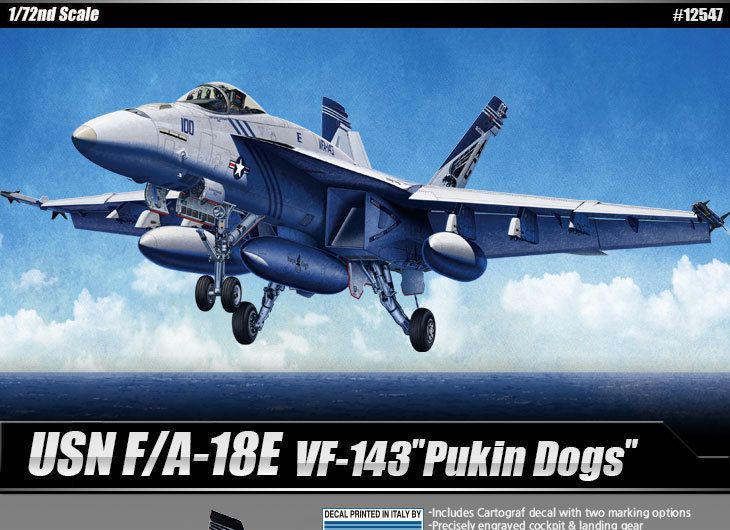 Academy 12547 1/72 USN F/A-18E VF-143 "Pukin Dogs"