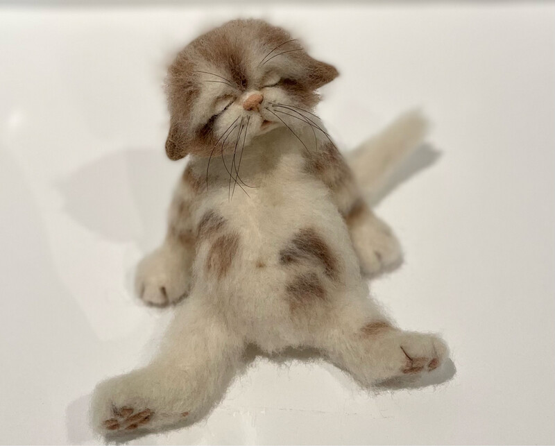 KAN BESTILLES. Katten Mons