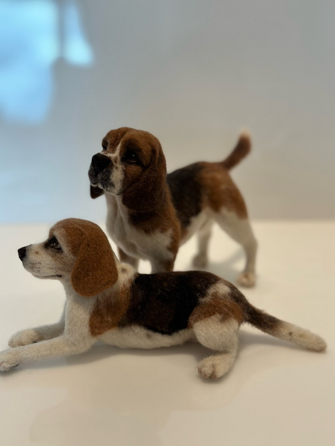 2 Beagler