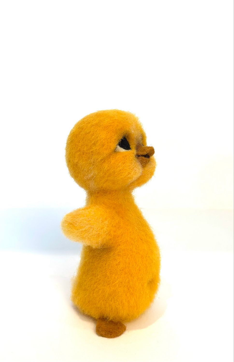 Nyklekket kylling🐣