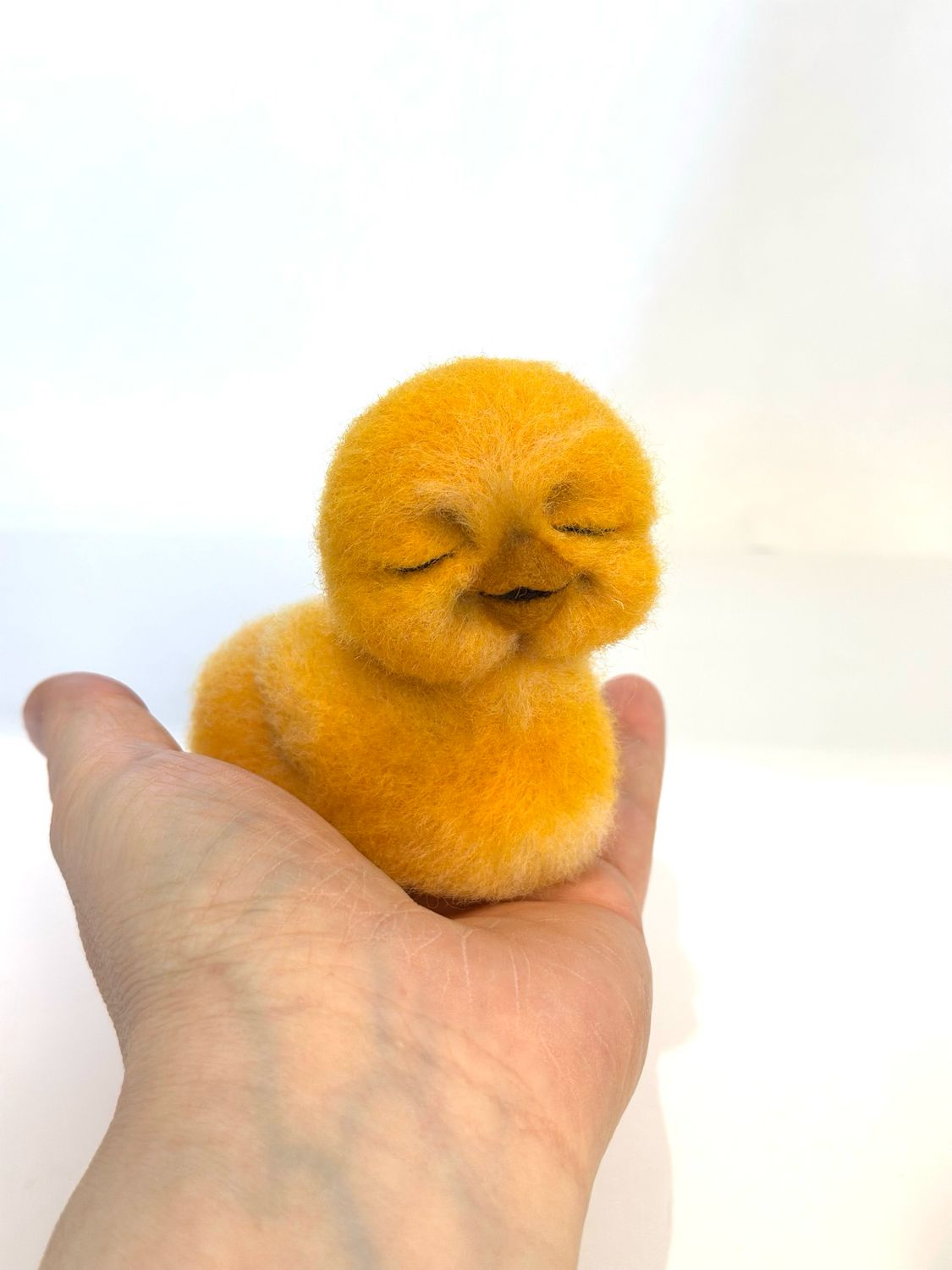 Nyklekket kylling🐣