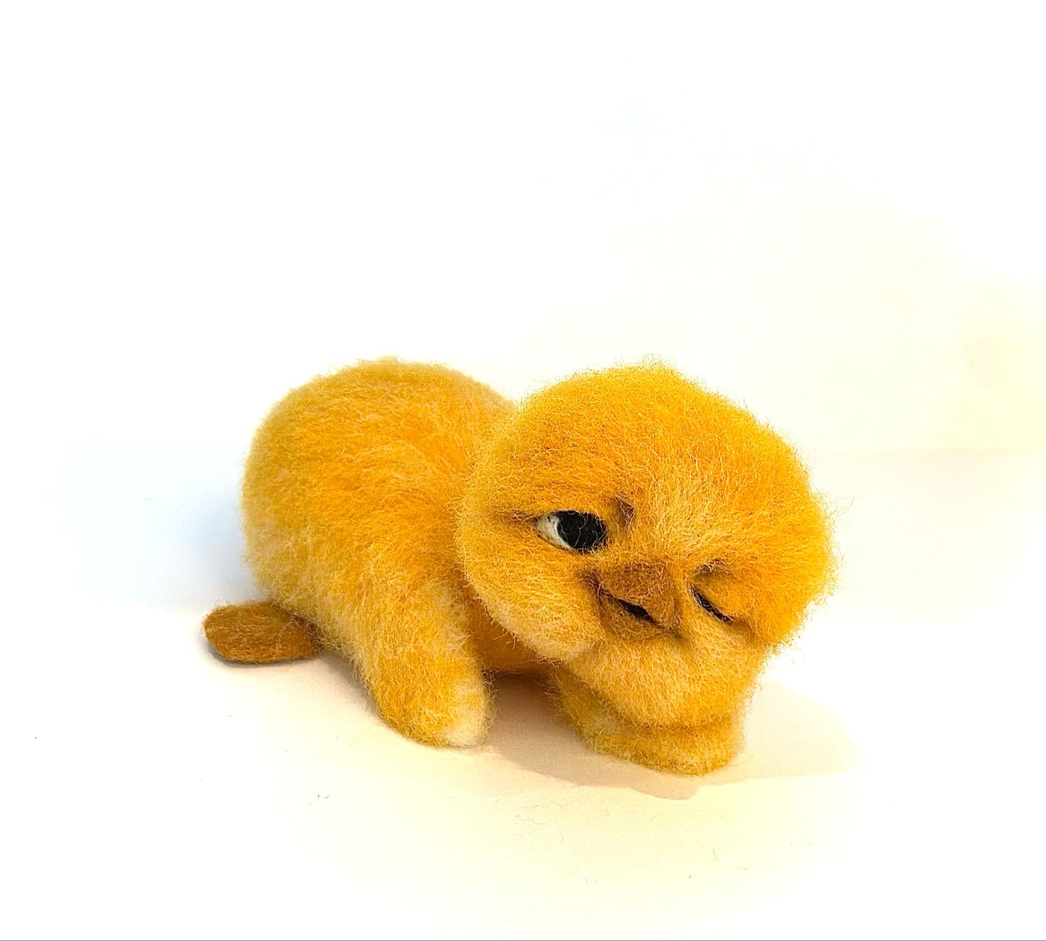 Nyklekket kylling🐣